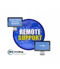 Remote Support - 4 Hours