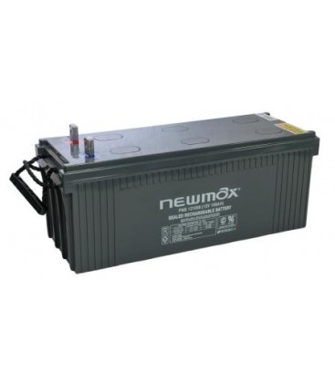 Newmax PNB 121000 AGM 10 Years Long Life Series 12V-100AH