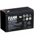 FIAMM 12FGH36 Batteria al Piombo VRLA  12V 9Ah (Faston 250 - 6,3mm)