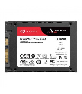 Seagate IronWolf™ NAS 125 SSD 250GB SATA 3D TLC -  ZA250NM1A002